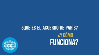 ¿Se ha preguntado alguna vez qué es el Acuerdo de París y cómo funciona [upl. by Fiden510]