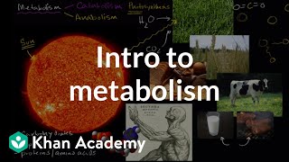 Introduction to metabolism anabolism and catabolism  Khan Academy [upl. by Rundgren]