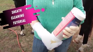 Sheath Cleaning Tutorial for Horses [upl. by Stanhope]