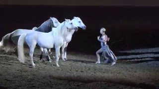 Liberty with 3 horses  Sylvia Zerbini  Night of the Horse 2016  Del Mar National Horse Show [upl. by Louisa24]