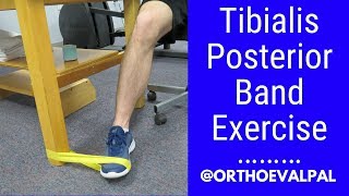 Tibialis Posterior strengthening exercise with a band [upl. by Peck548]