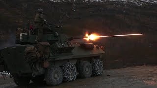 US Marines LAV25 M242 Bushmaster 25mm Tracer Live Fire [upl. by Barby]