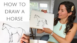 How to draw a horse standing for beginners [upl. by Nolly]