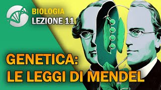 BIOLOGIA  Lezione 11  Genetica Le Leggi di Mendel [upl. by Midas]