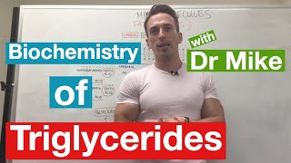 Fatty Acids Glycerol and Lipids  Biochemistry [upl. by Blancha]