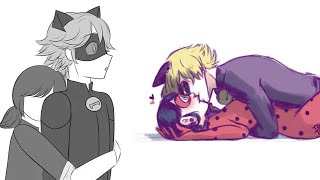 quotMarichat AUquot  Miraculous Ladybug Comic Dub [upl. by Munster]