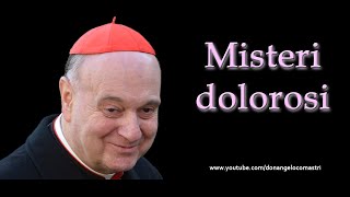 Mons Angelo Comastri – Misteri dolorosi del Santo Rosario [upl. by Sirtaeb730]