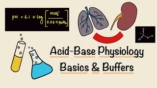 Acid Base Physiology  Part One  Basics  Buffers  Renal Physiology [upl. by Webster]