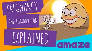 Pregnancy and Reproduction Explained [upl. by Lladnyk973]