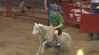 Mutton Busting  Iowa State Fair 2012 [upl. by Merridie]