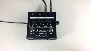 Sadowsky Bass Preamp  DI Review [upl. by Waldron]