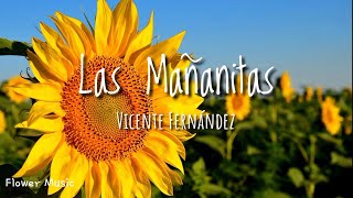 Las Mañanitas  Vicente Fernández Letra [upl. by Vtarj]