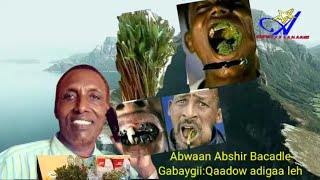 GABAYGII QAADOOW ADIGAA LEH ABWAAN ABSHIR BACADLE [upl. by Knowles383]