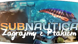 17 Zagrajmy w Subnautica  Jak zdobyć ząb stalkera Lets play PL Ptak Online [upl. by Yendis167]