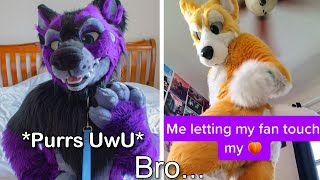 Tiktok Furries SCARE ME [upl. by Rubenstein]