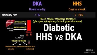 Hyperosmolar Hyperglycemic State Diabetic HHS vs DKA Animation [upl. by Lokin505]