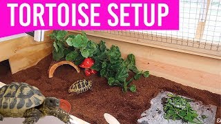 NEW Setting Up My Tortoise Enclosure  DIY Tortoise Table House [upl. by Jueta]