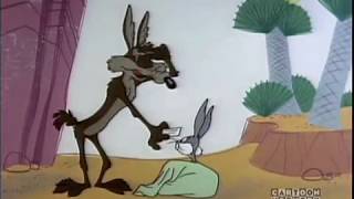 Wile E Coyote Genius [upl. by Rennoc]