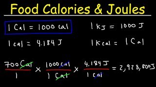 Joules Food Calories amp Kilojoules  Unit Conversion With Heat Energy  Physics Problems [upl. by Strenta350]