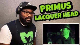 PRIMUS  LACQUER HEAD  REACTION [upl. by Ruddie]