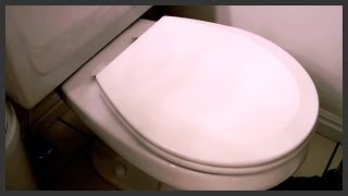 How to replace a toilet seat [upl. by Connor27]