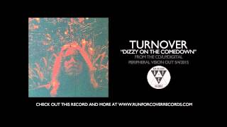 Turnover  quotDizzy On The Comedownquot Official Audio [upl. by Iadrahs]