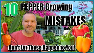 Pepper Growing Mistakes  How to Avoid or Fix ThemHow to Grow Peppers [upl. by Reivilo]