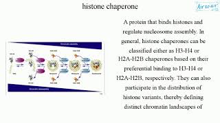 histone chaperone [upl. by Ribble]