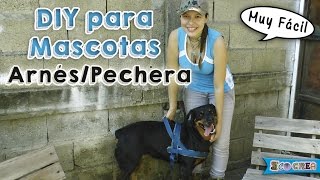 Cómo hacer un arnéspechera para tu perro │DIY [upl. by Thill]