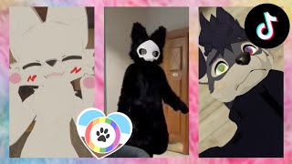 Furry TikToks Compilation 13 [upl. by Burnley]