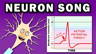 THE NEURON SONG [upl. by Charin327]