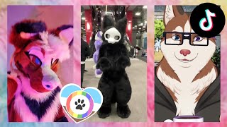 Furry TikToks Compilation 26 [upl. by Ardnala]