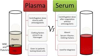 Plasma Vs serum Vs antiserum [upl. by Pressey]