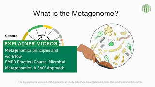 Metagenomics principles and workflow [upl. by Airdnax183]