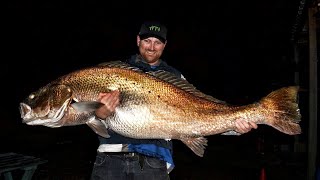 458kg Jewfish Silver mulloway Yes you read that correctly [upl. by Siloam]