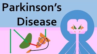 Parkinsons Disease and the Basal Ganglia [upl. by April]