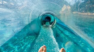 Aquatica Orlando  Dolphin Plunge  Water Slide Through Tank [upl. by Elvina42]