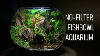 How To Set Up A FISHBOWL The RIGHT Way  No Filter  No Heater  Aquarium Setup [upl. by Feeley27]