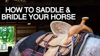 HOW TO TACK UP YOUR HORSE WESTERN [upl. by Ahsa888]