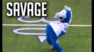 NFL Funniest Mascot Moments  HD [upl. by Tihor106]