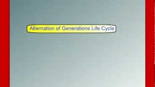 Alternation of Generations Life Cycle [upl. by Norton]