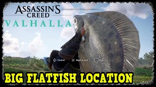 Assassins Creed Valhalla Big Flatfish Location [upl. by Arihk496]