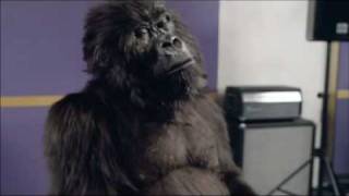 Cadburys Gorilla 60 second commercial [upl. by Tillo]