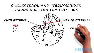 Pharmacology CVS 28 Hyperlipidemia Types  Classification  MADE EASY [upl. by Heindrick]