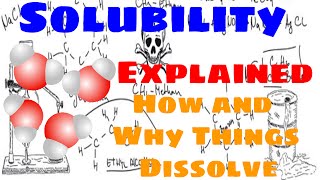 Solubility Explained [upl. by Camfort749]