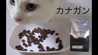 カナガンキャットフード実食レビュー（CANAGAN Britain’s cat food review） [upl. by Ttenrag]