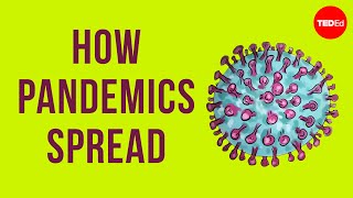 How pandemics spread [upl. by Eiramasil]