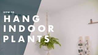 How To Hang Indoor Plants From the Ceiling  Bunnings Warehouse [upl. by Woodring]