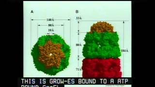 Molecular Chaperones in Protein Folding and Neurodegeneration [upl. by Elamaj]