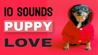 10 Sounds Puppy Love The Most [upl. by Idnyl222]